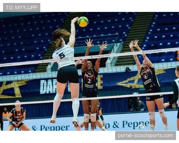 德甲女排季后赛四强战，斯图加特客场逆转什未林占得先机